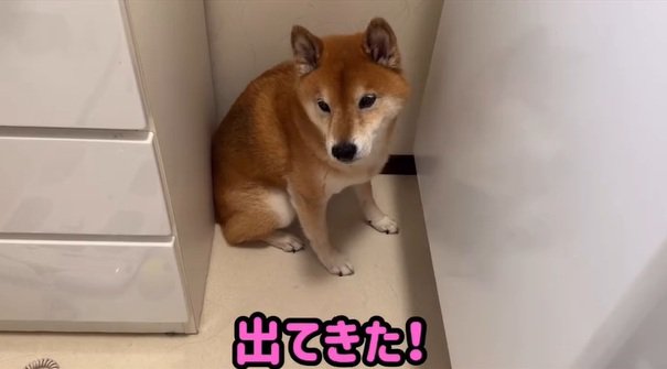 出てきたロックくん