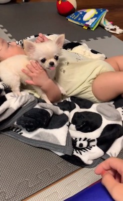 赤ちゃんに寄り添うもこちゃん