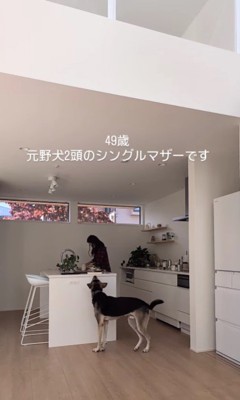 人見知りの2頭の元野犬