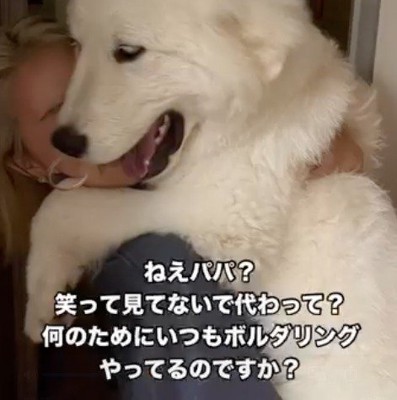 女性の肩に前足を乗せる犬