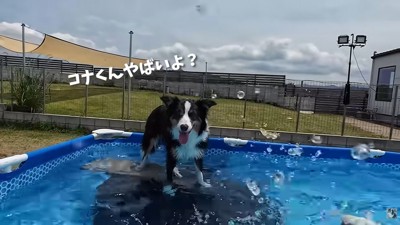あきれ顔のメルちゃん
