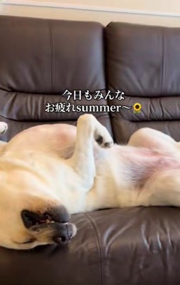 堂々とした姿にクスッ