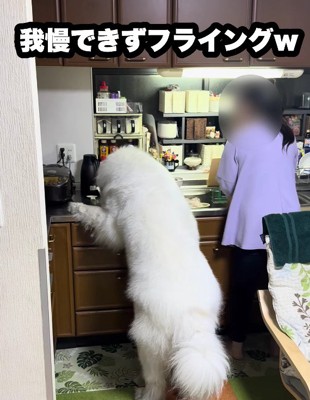「まだかな？まだかな？」