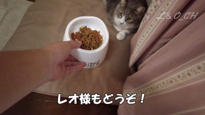 レオくんのご飯を奪うペコちゃん2