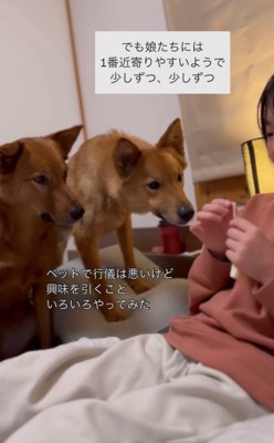 ベッドに近づく