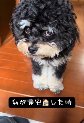 「お土産は?」とチラ見