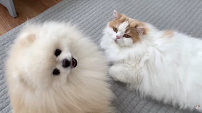 今日も仲良し♪