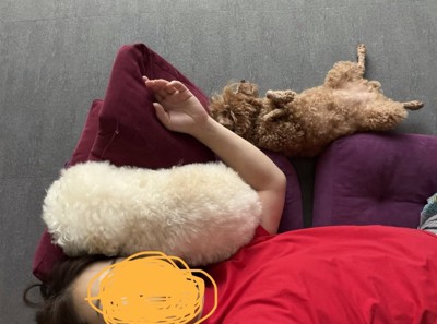 みんなでくつろぐ、幸せな時間