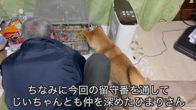 おじいちゃんとも仲良しに