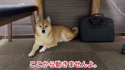 お風呂はお断りします