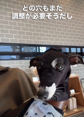 穴の位置はとても難しい