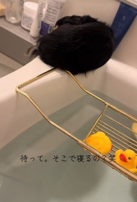 浴槽のフチでくつろぐミミちゃん