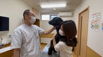 「何やるつもりなの…！？」