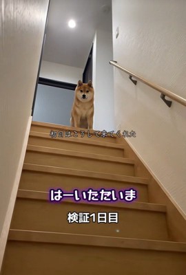 おやつをやめてみたら…？