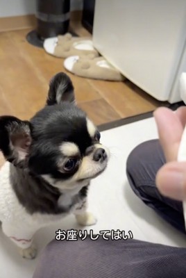 お薬の時間です