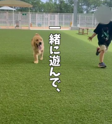 まるで兄弟のよう!