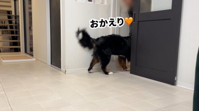 ついにパパさんが帰宅!