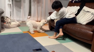 寝る前のいちごちゃん8