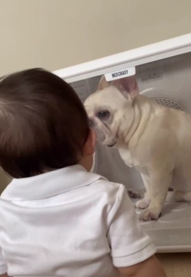 「閉じ込められてる…」