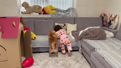 第2ラウンドが開始!!