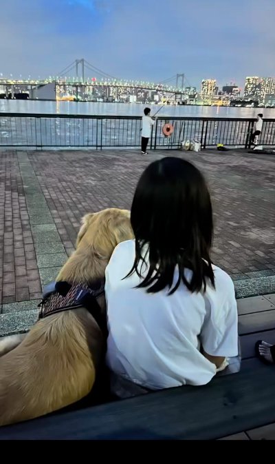 夜散歩中の子供と犬