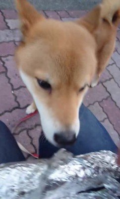 「いい匂い～♡」