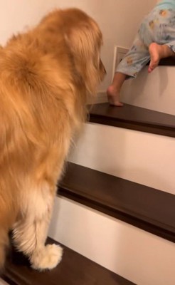 階段を登る男の子とラビーくん2