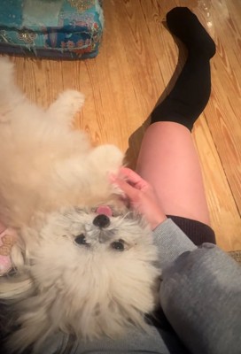 ヘソ天するるるちゃん2