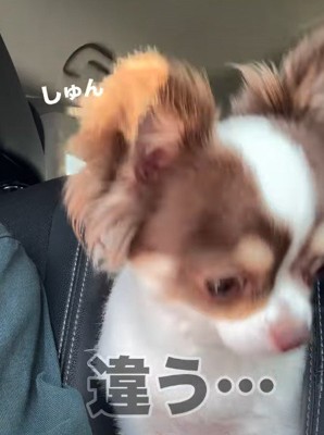 「違った…」