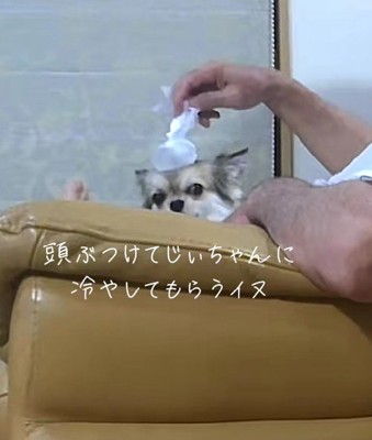 思わずホッコリ