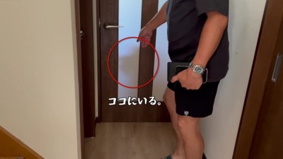 1時間のお留守番でも…