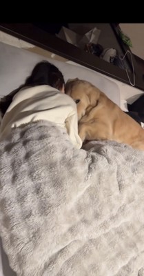 目線だけこちらに向ける犬