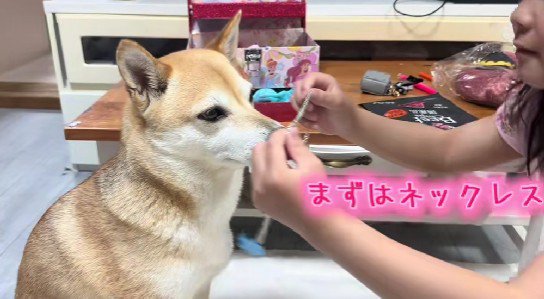 女の子とおしゃれごっこ♪