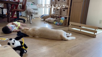 サンちゃんが出てきました！