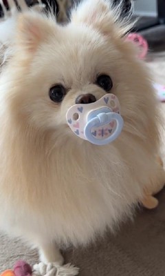 「どう?似合ってる?」