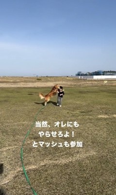 飛び付いた