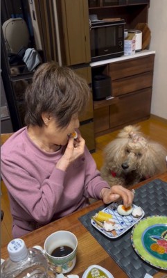 おばあちゃんの朝ご飯を狙うワンコたち5