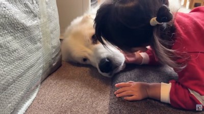 シュシュちゃんに話しかけるろのちゃん