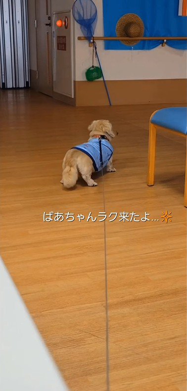おばあちゃんに会いに来たラクちゃん