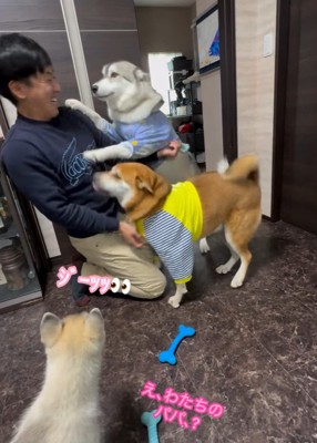 パパさん帰宅時のワンコたち2