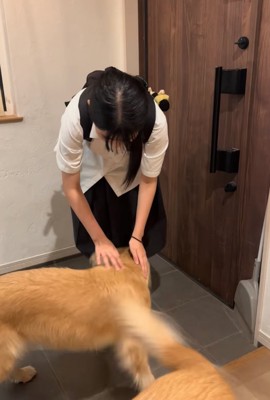 足元に擦り寄る大型犬