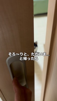 半開きの引き戸から覗く豆柴