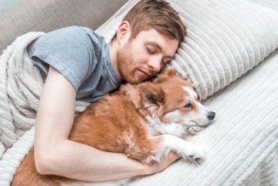 男性に抱きしめられながら寝る犬