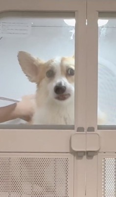 お顔に違和感…