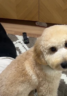 立派に育ったね！！