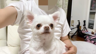 ママさんが先に寝ようとしたら…