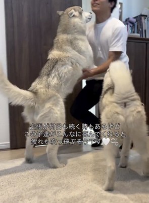 パパのこと、大好きすぎる！