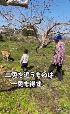 ちょっぴり切ない