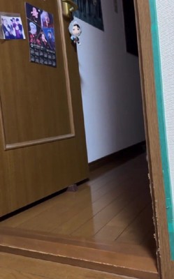 誰かがやってきた