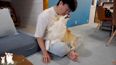 「もう動くんじゃねーぞ!」